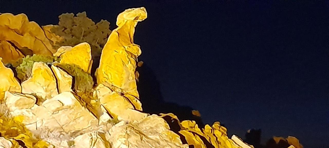SollacaroU Riposu Di A Cupulatta住宿加早餐旅馆 外观 照片